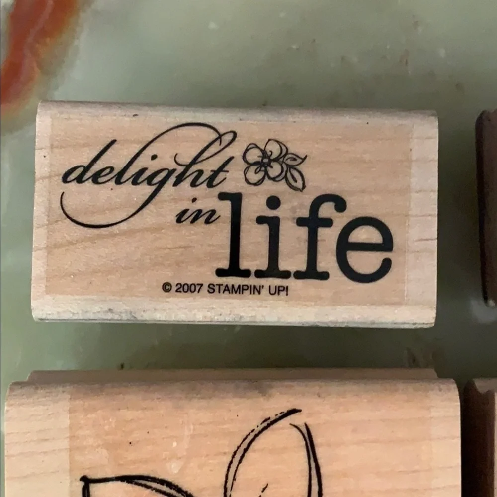 Stamp in’ Up! Clean/used rubber block stamp set